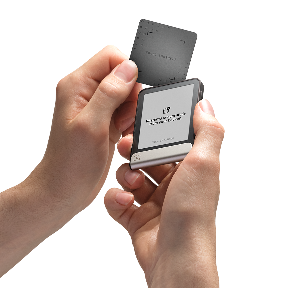 Ledger Flex inkl. Recovery Key