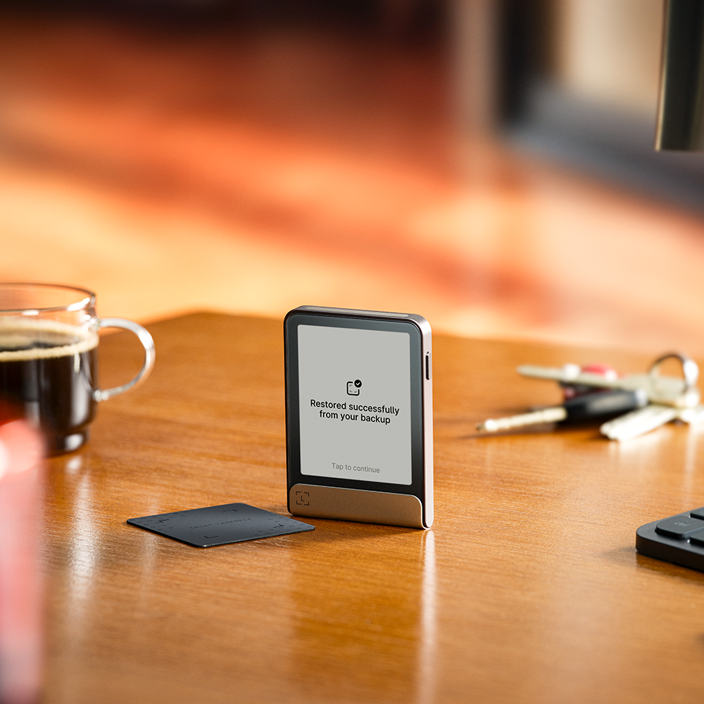 Ledger Flex inkl. Recovery Key