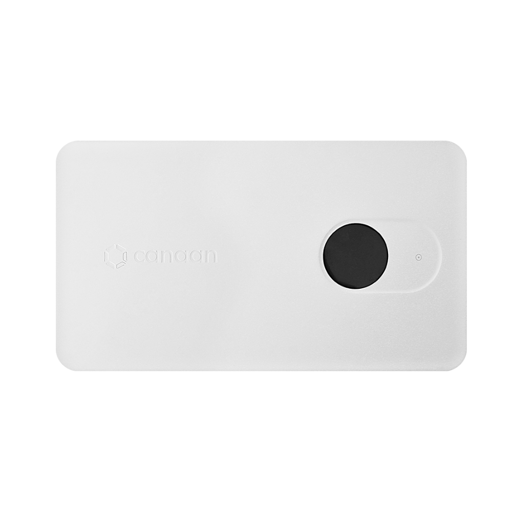 Canaan Avalon Nano 3S