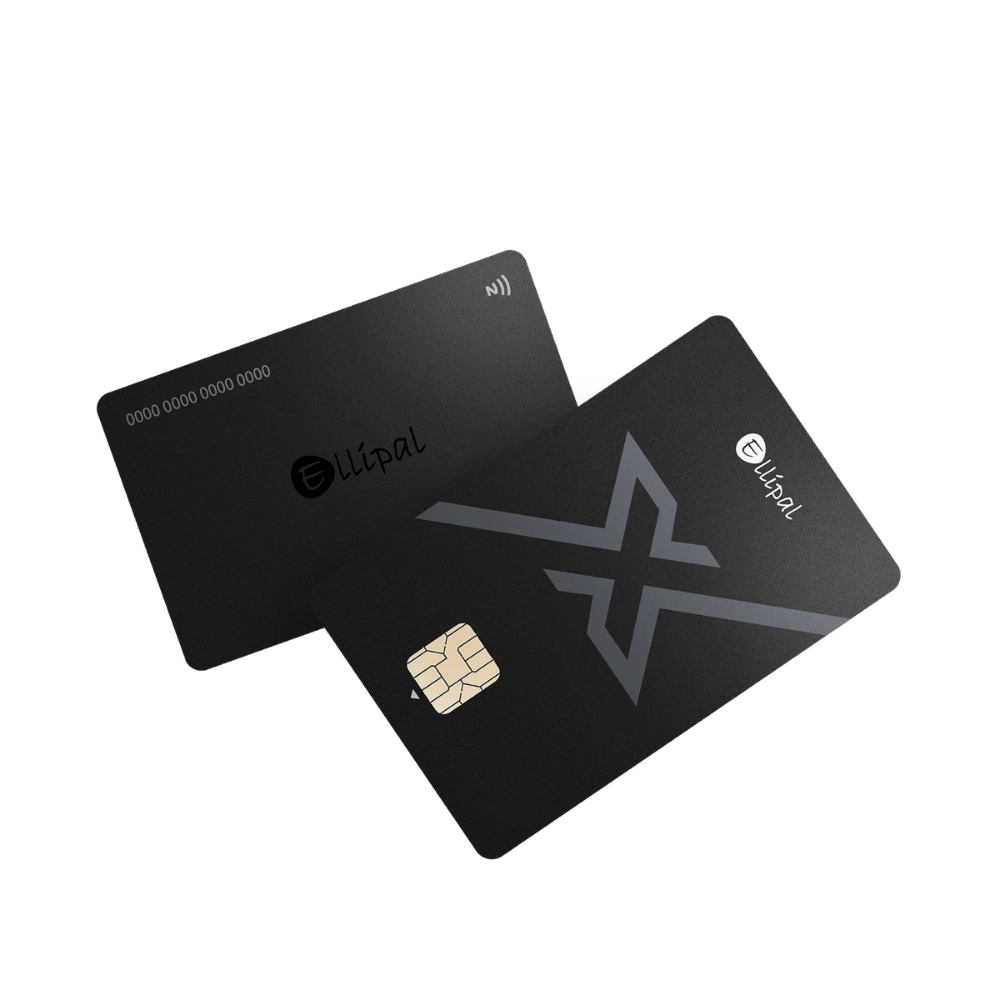 Ellipal X Card Duo | Crypto Wallet | bitConsult