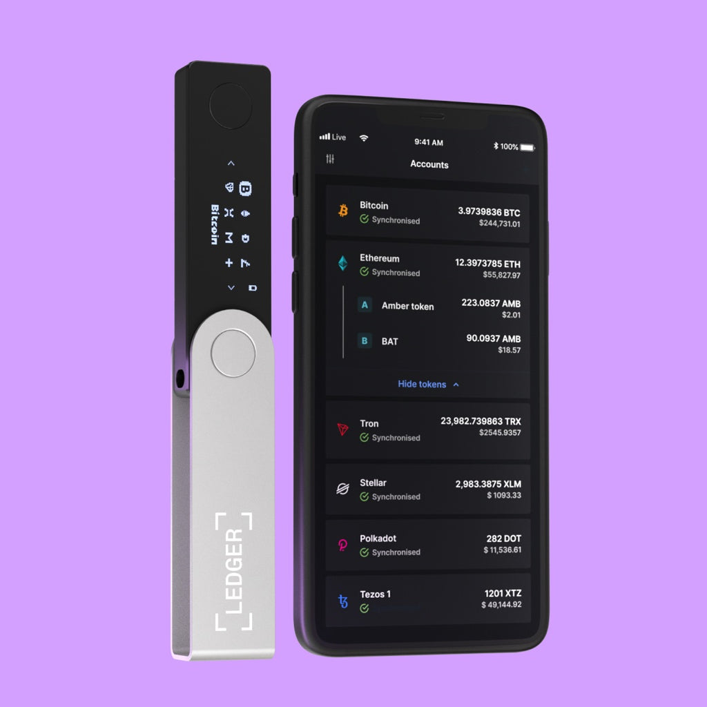 Ledger Nano X inkl. 1:1-Consulting