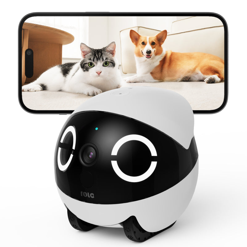 Enabot ROLA Mini