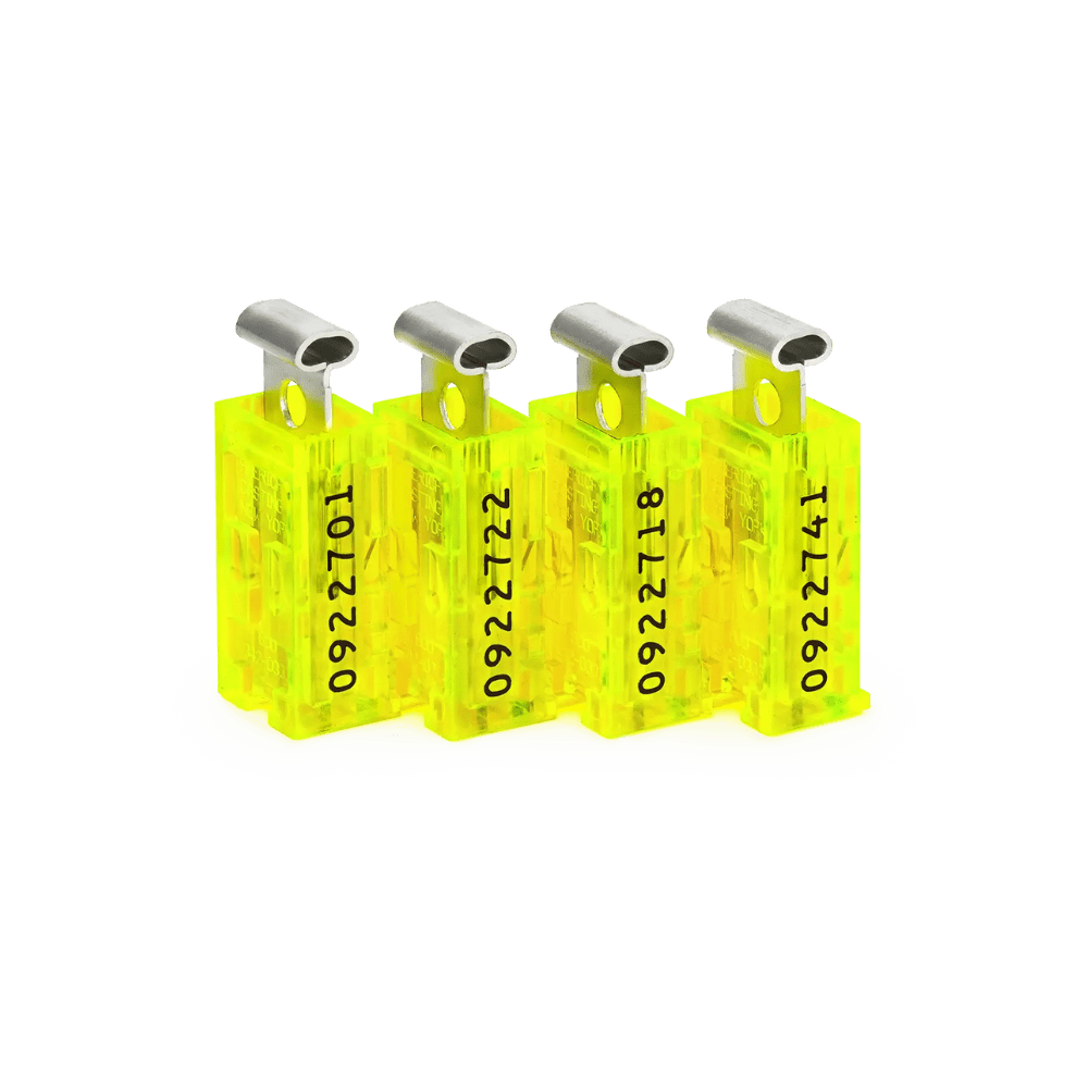 Seed24 Security Seals | Crypto Wallet | bitConsult