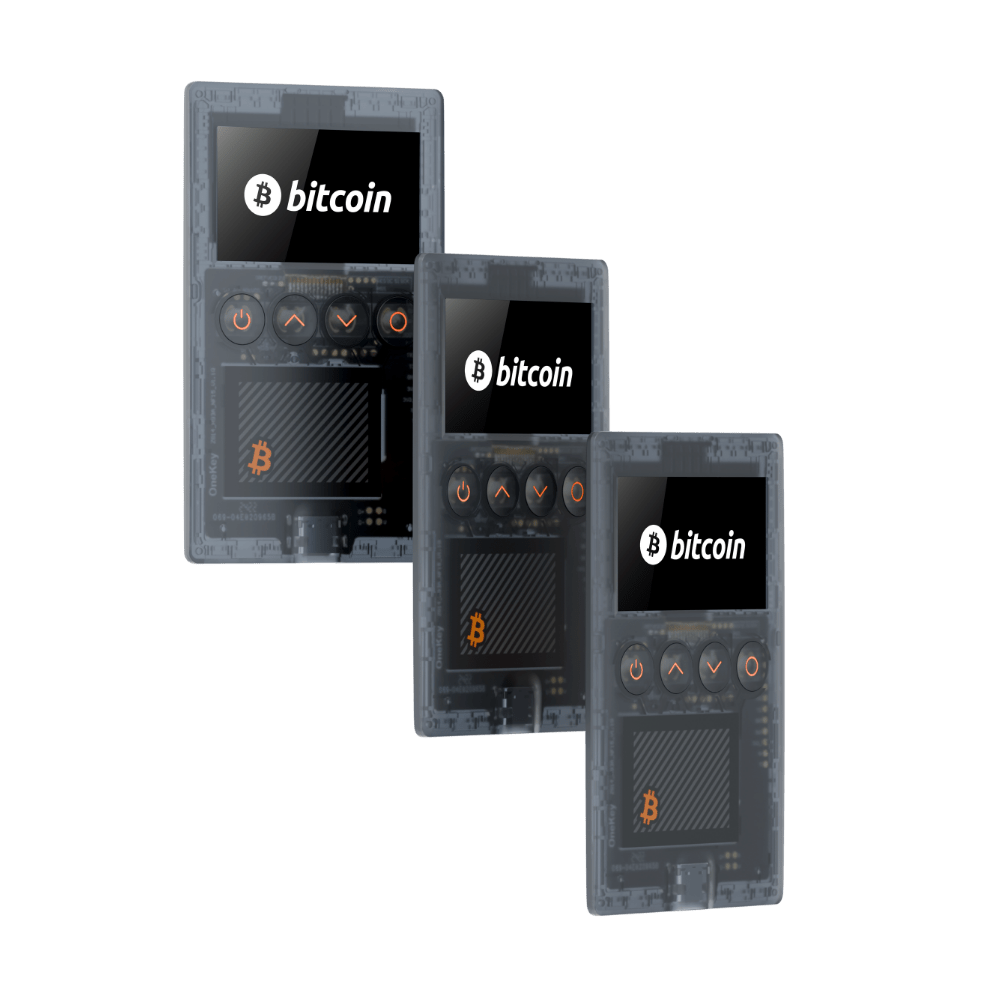 OneKey Classic 1S Pure - Bitcoin Only | Crypto Wallet | bitConsult